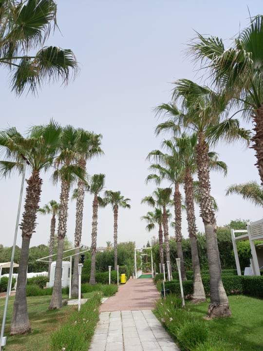 Gartenanlage Sunis Elita Beach Resort & Spa