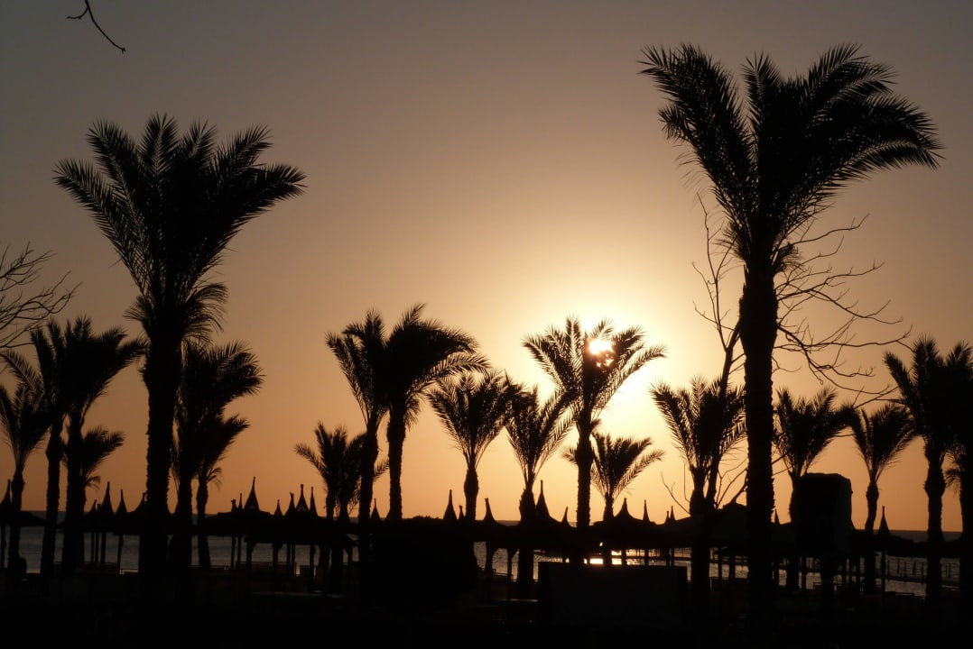 Sonnenaufgang Pickalbatros Palace Resort