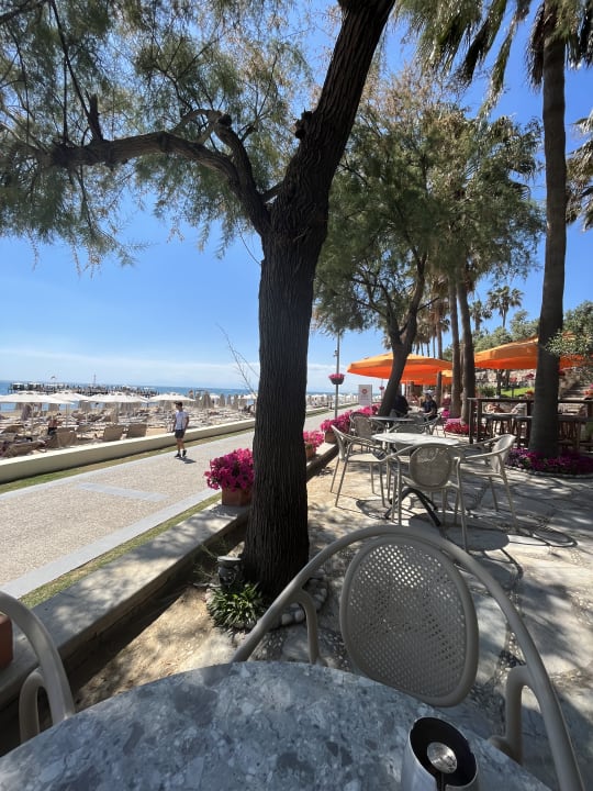 Ausblick Arum Barut Collection