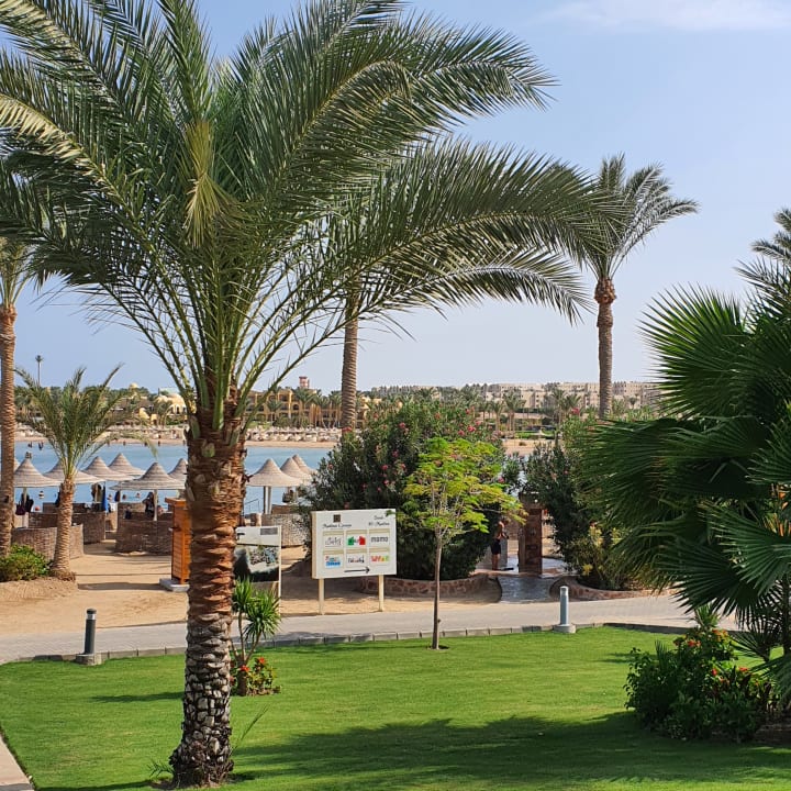 Gartenanlage Steigenberger Coraya Beach - Adults only