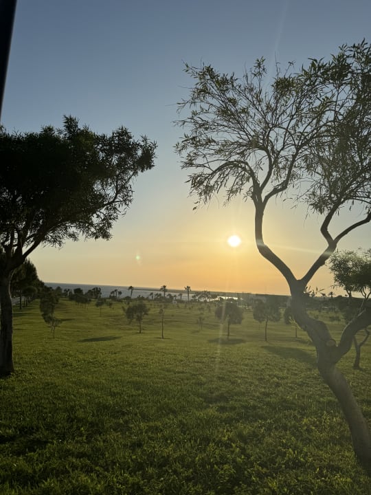 Gartenanlage Aquasis De Luxe Resort & Spa