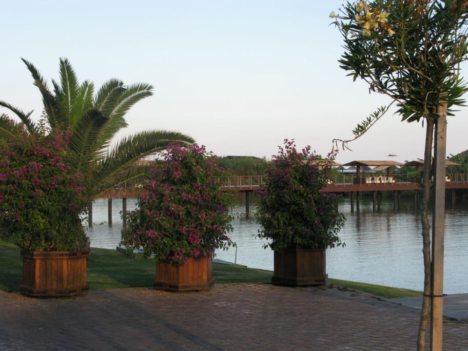 Мост на пляж Gloria Serenity Resort