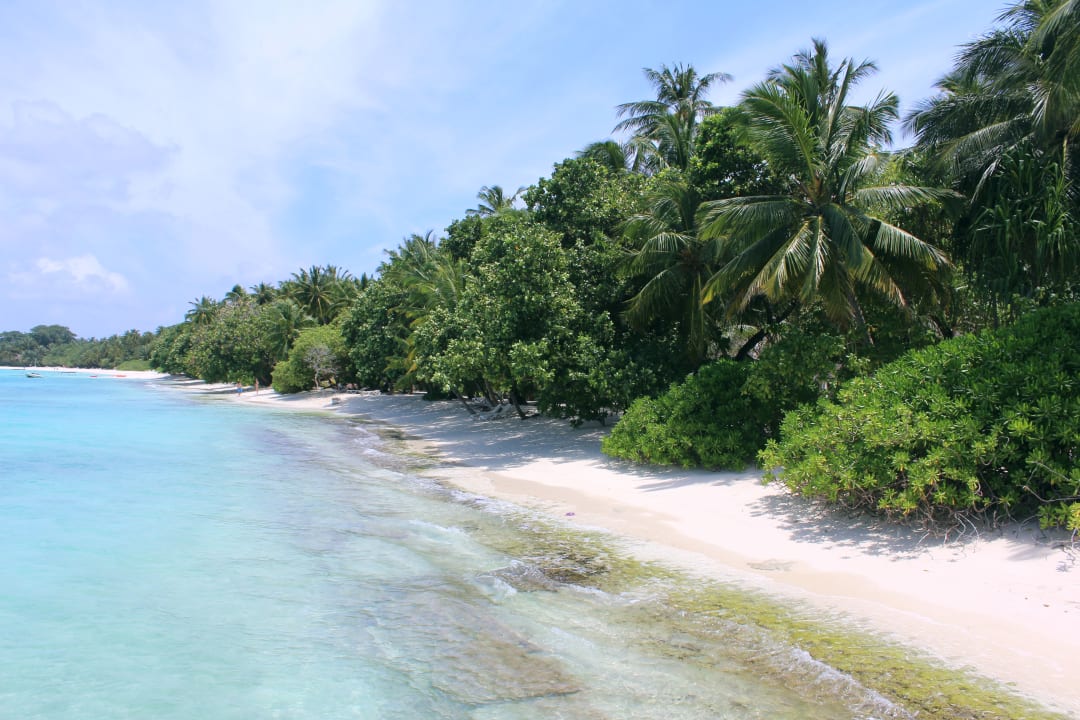 Einfach toll! Kuramathi Maldives