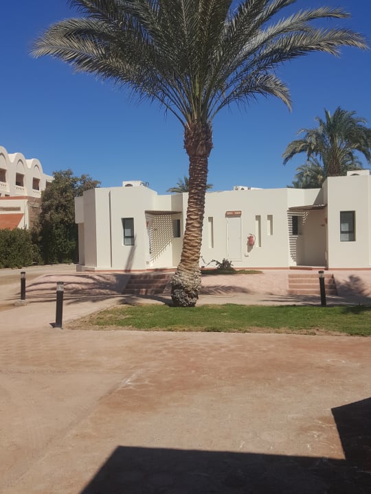 Sonstiges Pharaoh Azur Resort