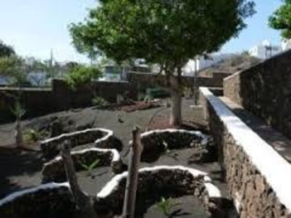 Jardin Apartamentos Guacimeta