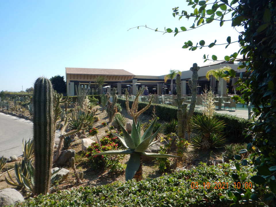 Gastro Astir Odysseus Kos Resort & Spa