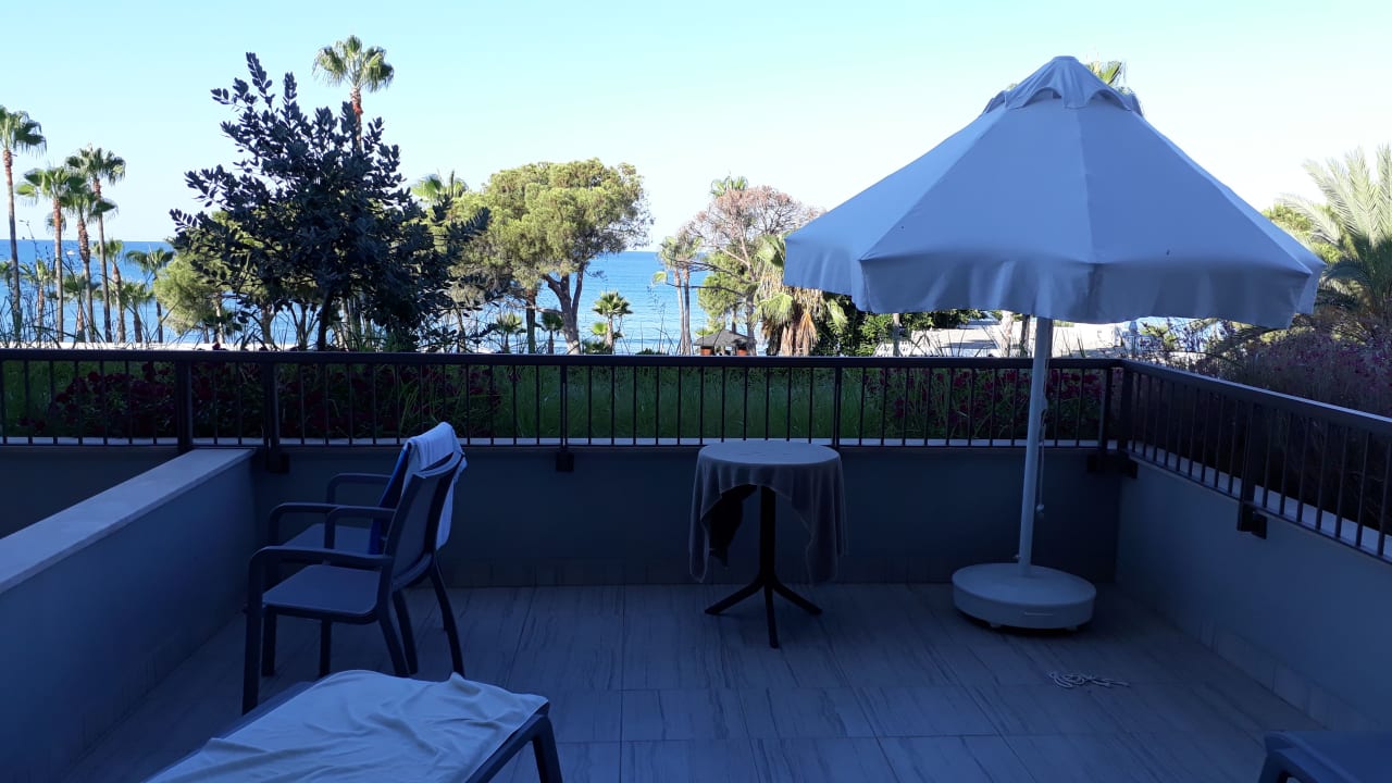 Zimmer Acanthus Cennet Barut Collection