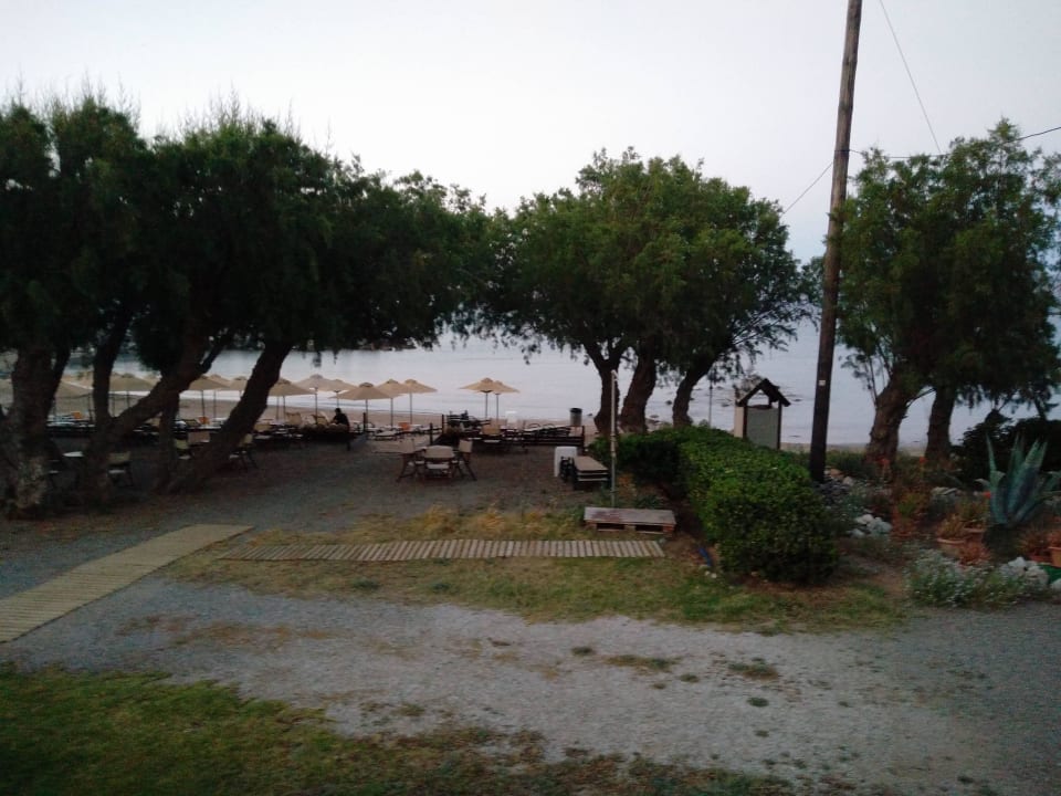 Strand mit vorgelagertem Pinienhain Aphrodite Beach Hotel