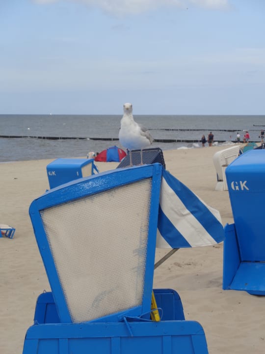 Strand Hotel & Ferienpension Elisabeth