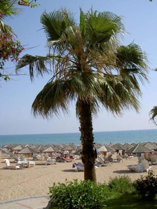 Strand Hotel Defne Star