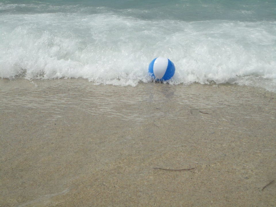 Celine Kleopatra Celine Hotel