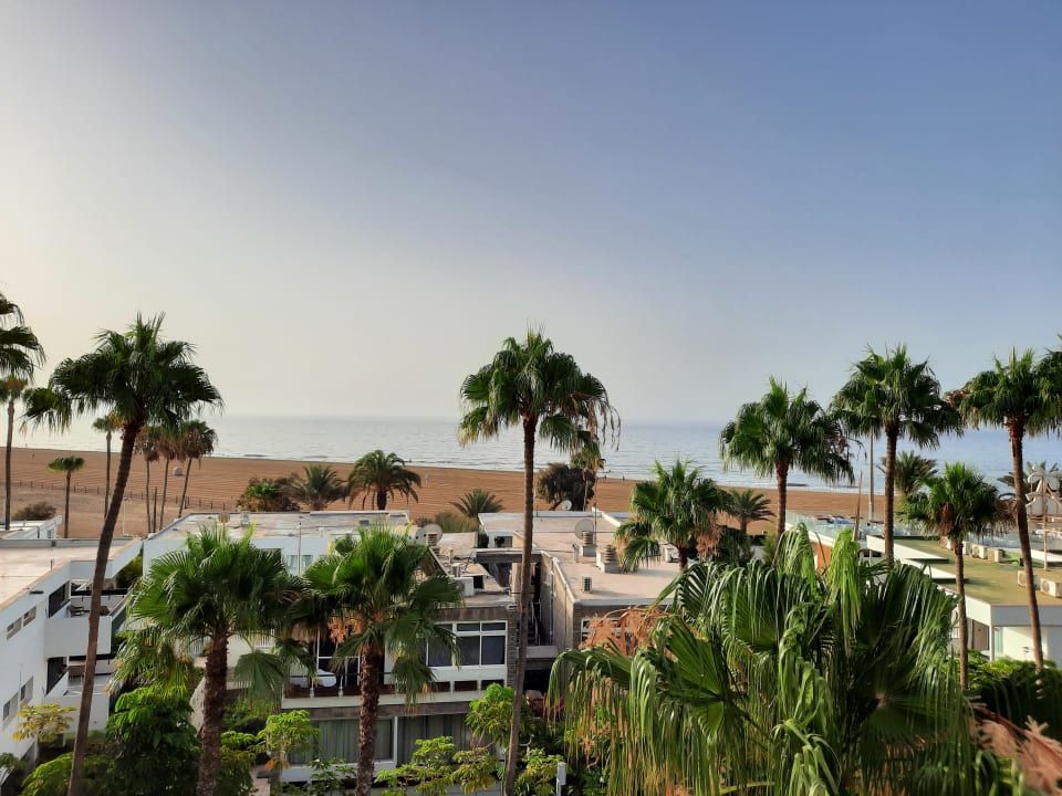 Ausblick Seaside Hotel Palm Beach