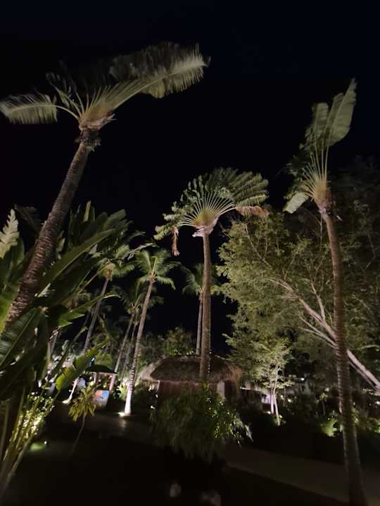 Gartenanlage Sunscape Dominicus La Romana