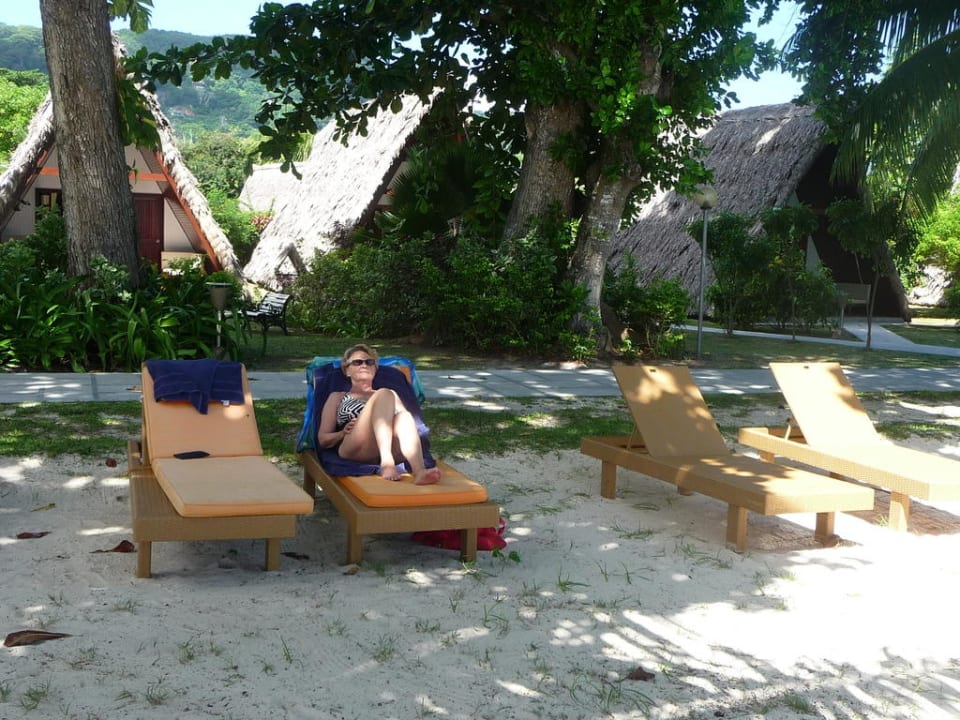 Im schatten den Takamarabüme La Digue Island Lodge