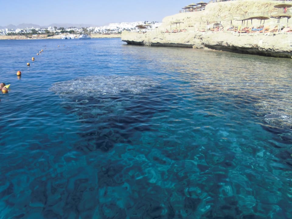 Das Riff vom Steg aus Sharm Plaza