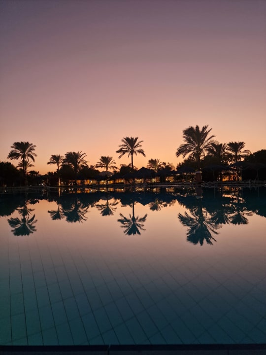 Ausblick Desert Rose