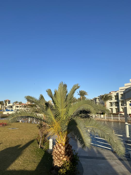 Ausblick Pickalbatros Dana Beach Resort - Hurghada