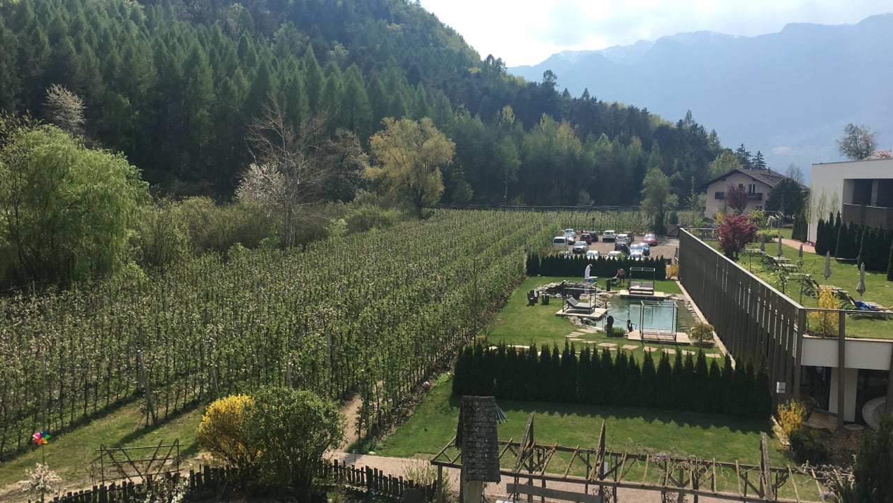 Ausblick Gartenhotel Moser