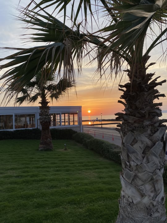 Ausblick TUI BLUE Insula Alba