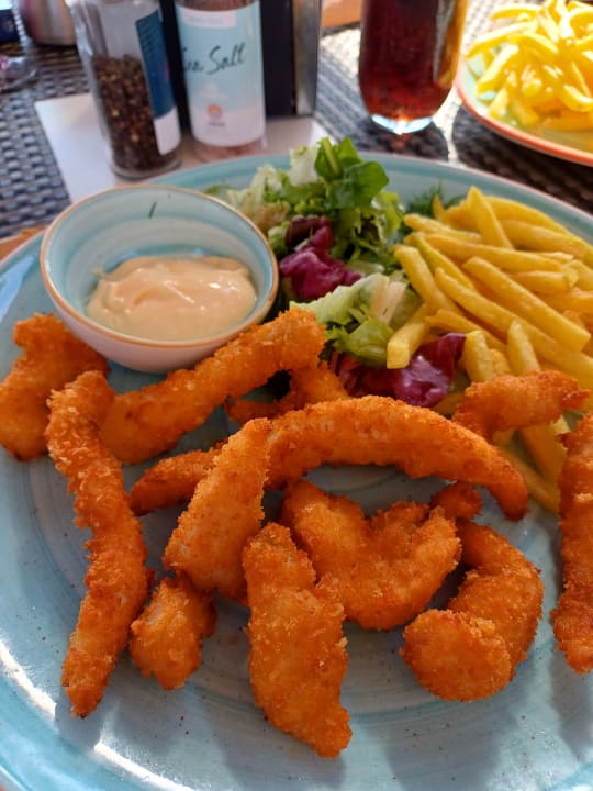 Gastro Arum Barut Collection