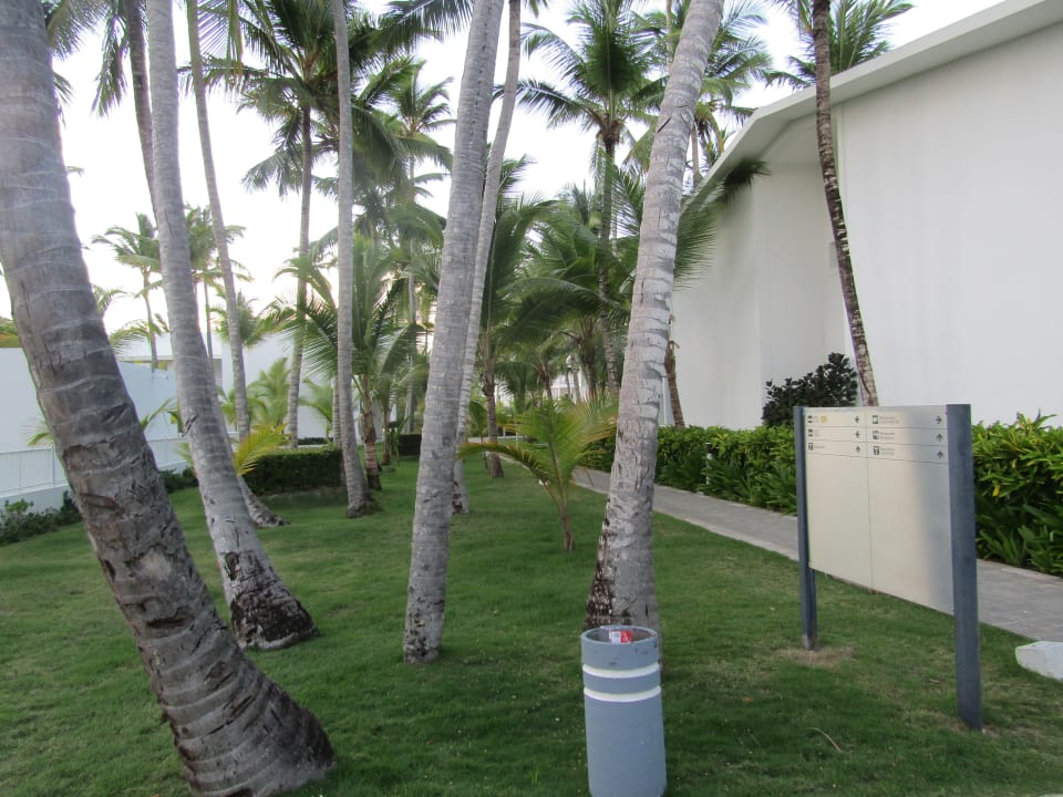 Gartenanlage Hotel Riu Bambu