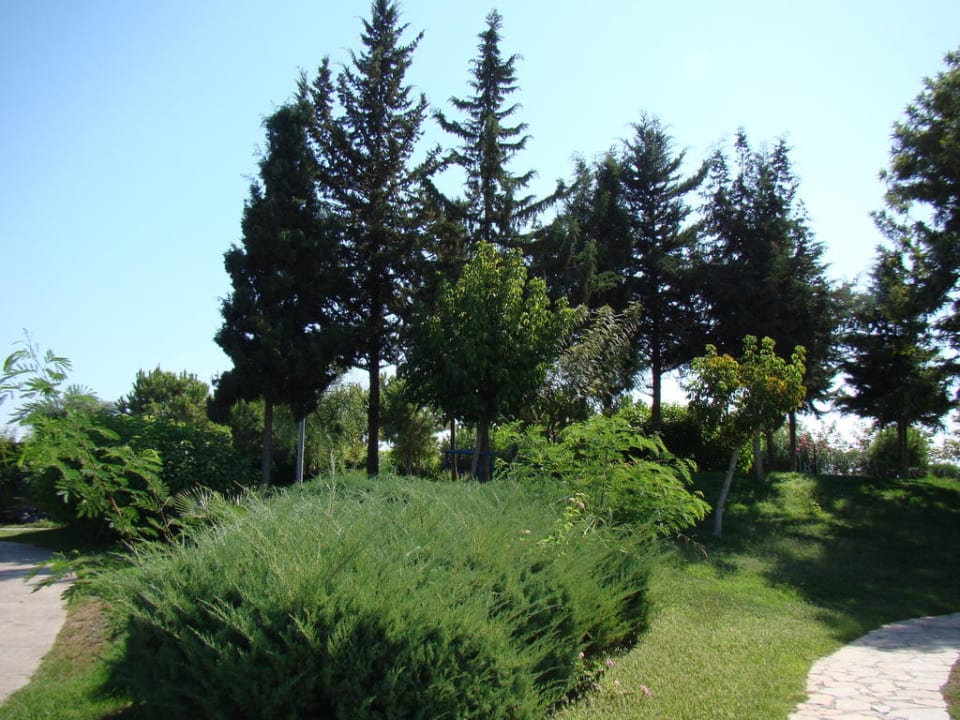 Сад Limak Limra Hotel & Resort
