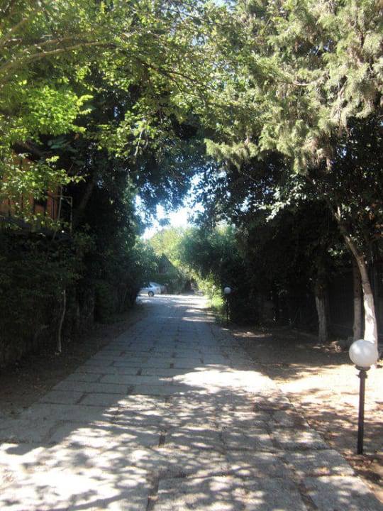 Allee Hotel Neptün/Neptun