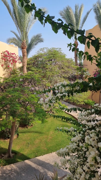 Gartenanlage Steigenberger Coraya Beach - Adults only