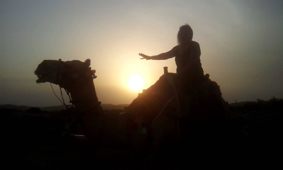 Kamel reiten Three Corners Equinox Beach Resort