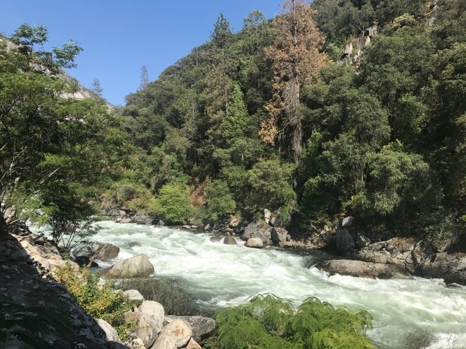 Ausblick Hotel Yosemite View Lodge