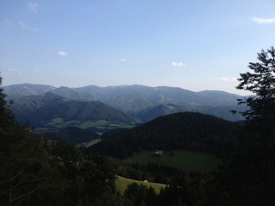 Bienenalm LUXGUT - OLIVIA