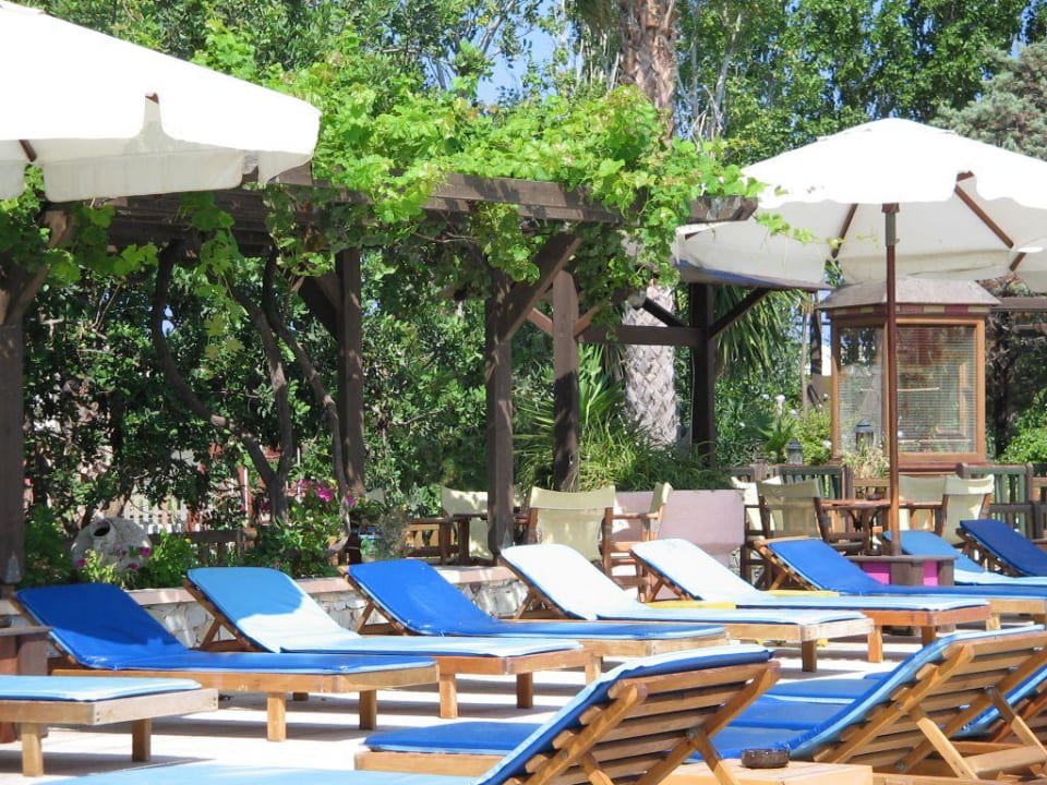 Gaia Gaia Garden Hotel