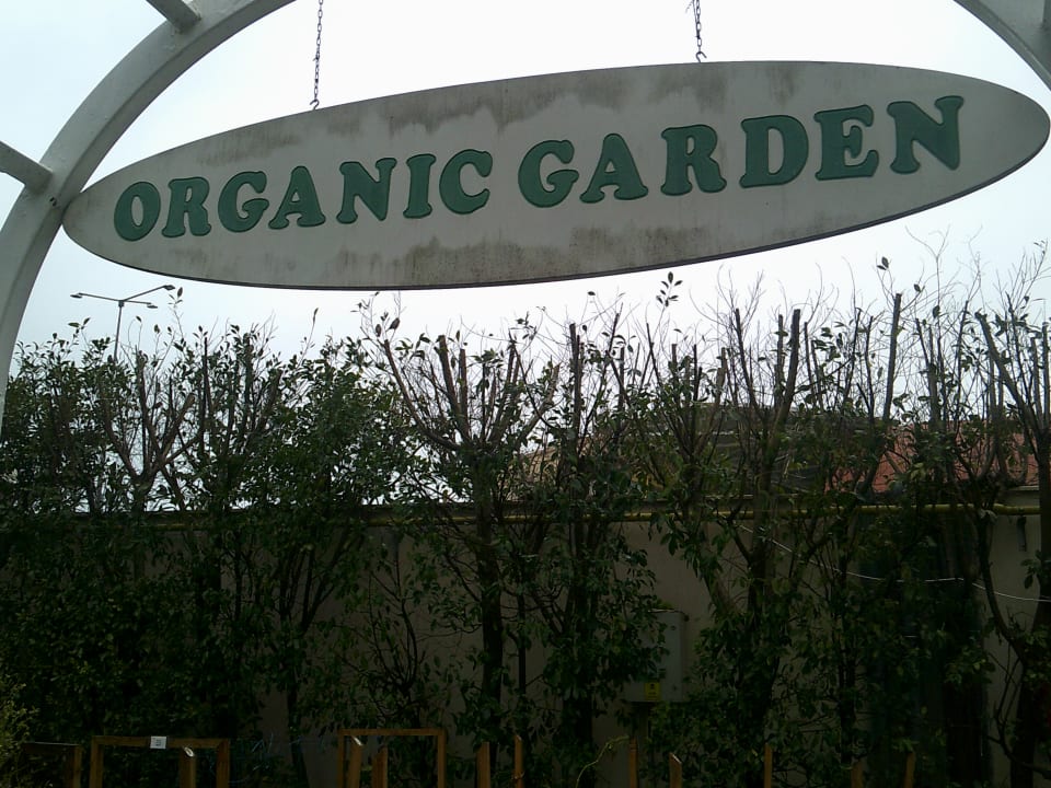 Gartenanlage Calimera Hane Garden