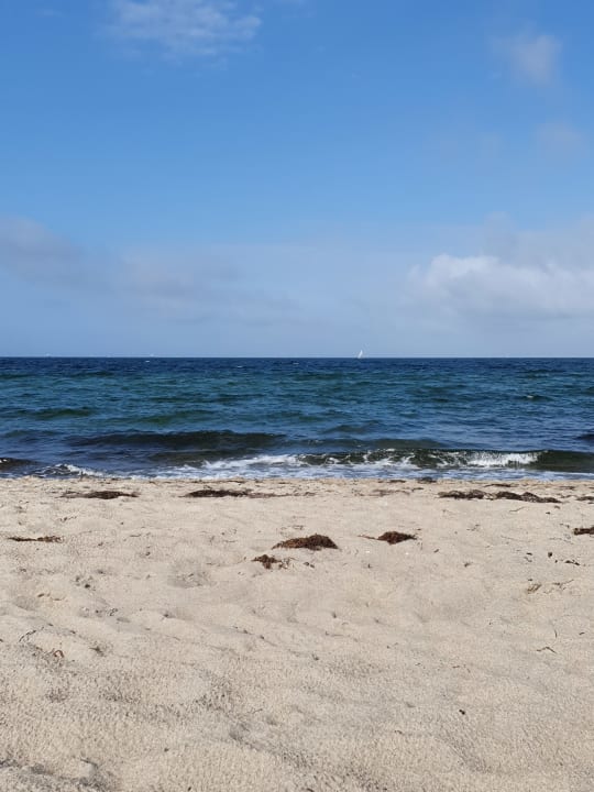 Strand Hotel Neptun