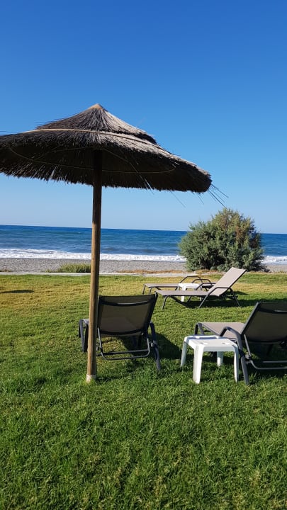Gartenanlage Hotel Geraniotis Beach