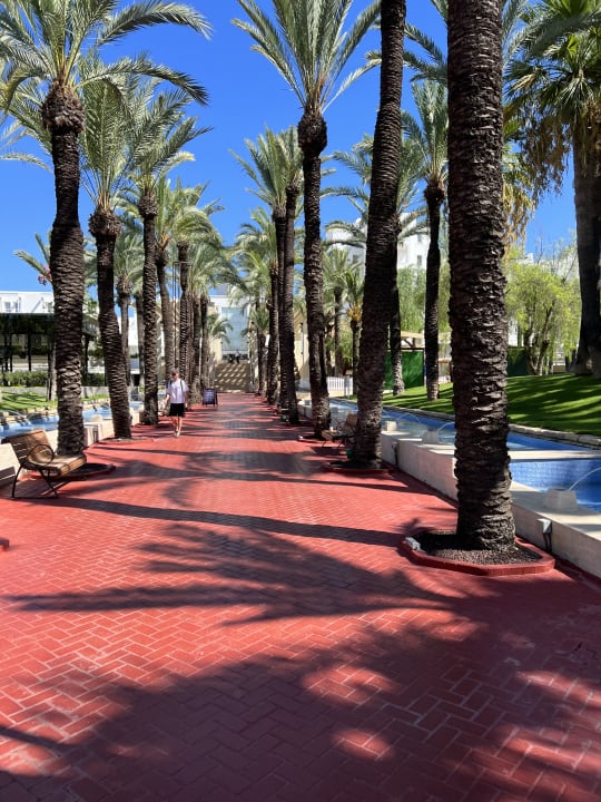 Gartenanlage Monachus Family Resort Sorgun