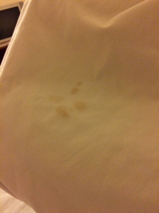 Ekelhafte Bettwäsche Sun Palace