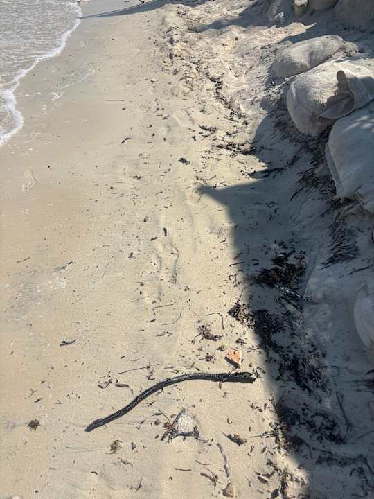 Strand ROBINSON DJERBA BAHIYA