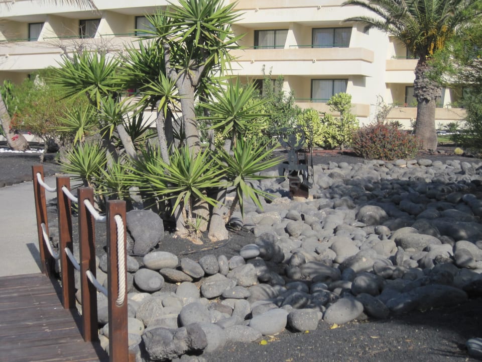 Garten Dreams Lanzarote Playa Dorada Resort & Spa