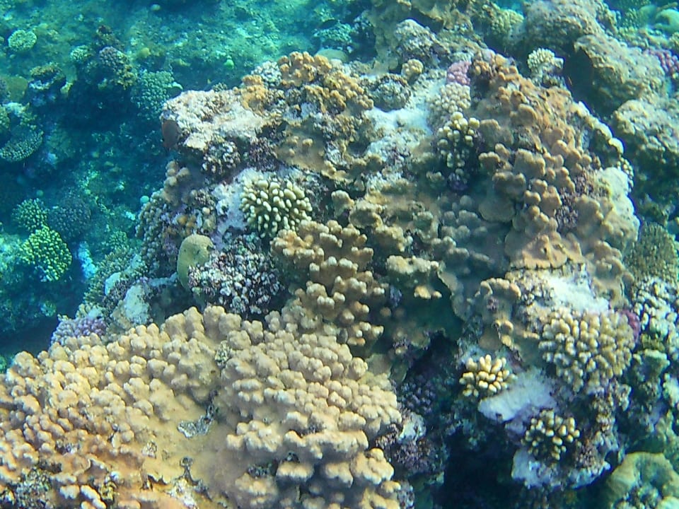 Strand Three Corners Sea Beach Resort