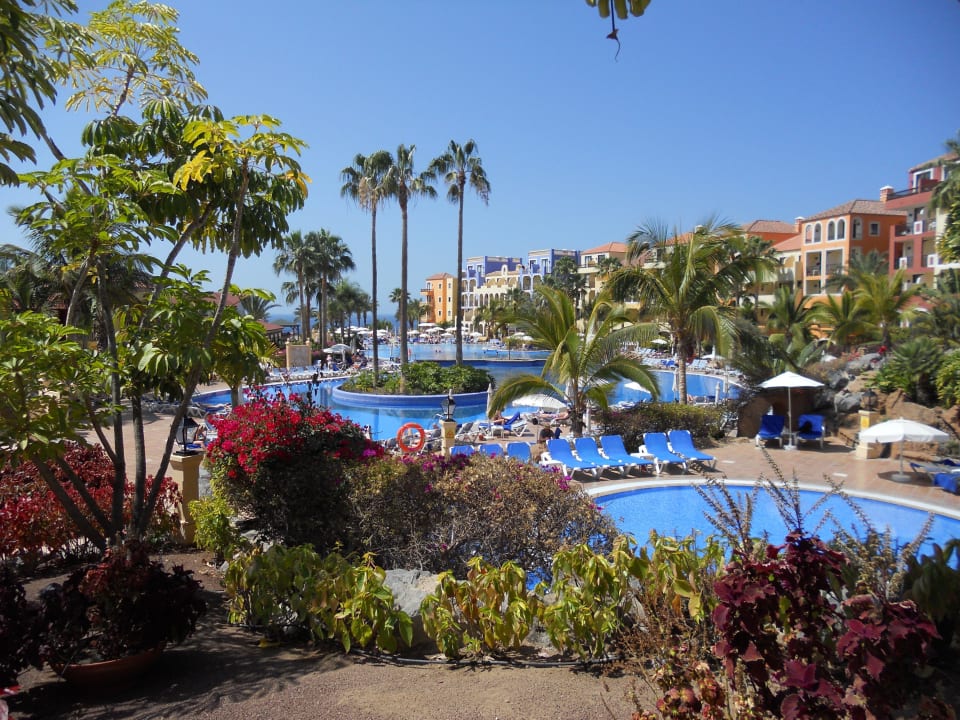 Wie im Paradies Bahia Principe Sunlight Costa Adeje