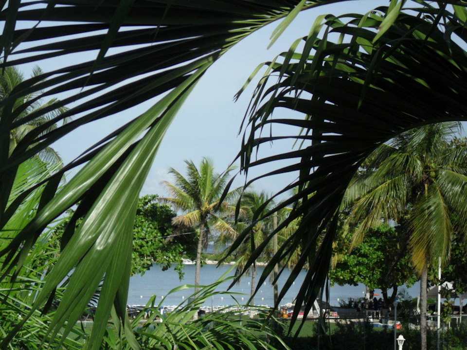 Ausblick von der Juniorsuite Hotel Rooms on the Beach by Superclubs