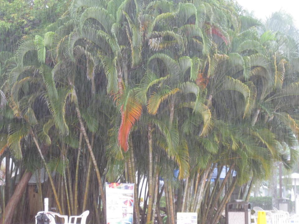 Regen Grand Paradise Playa Dorada