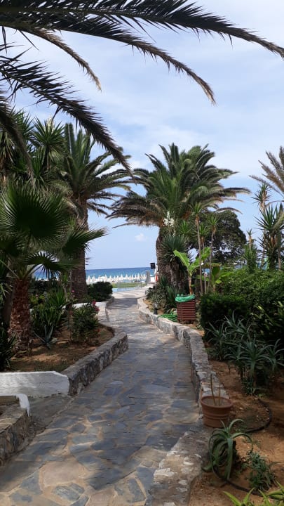 Gartenanlage HARPIN Happy Days Beach Hotel