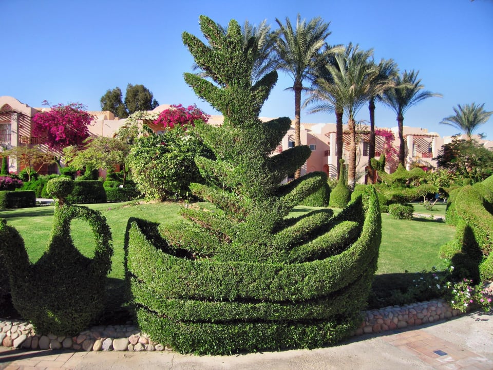 Garten Iberotel Makadi Beach
