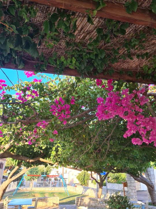 Sonstiges Hotel Stella Beach