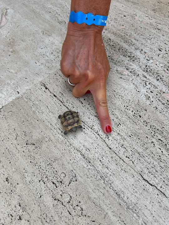 Außenansicht Hotel Club Sera