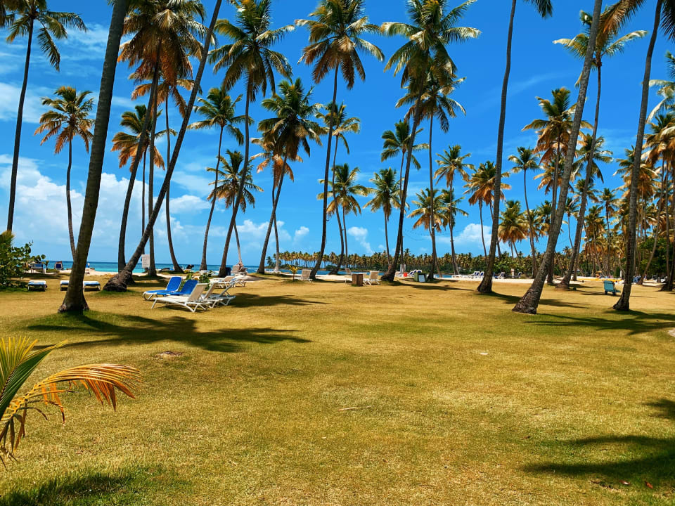 Gartenanlage Wyndham Alltra Samana