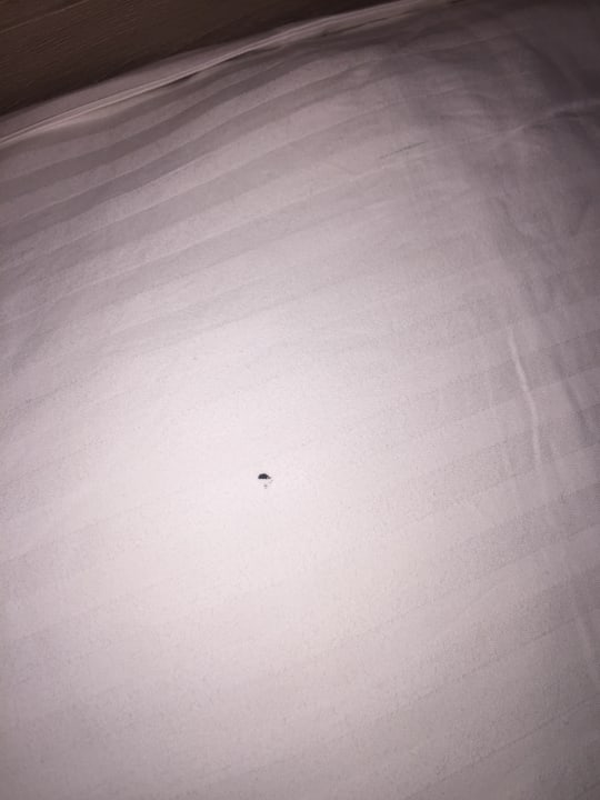 Zimmer Bodrum Park Resort