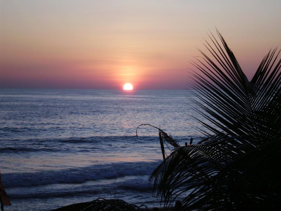 Sinnliche Momente Palm Beach Guesthouse